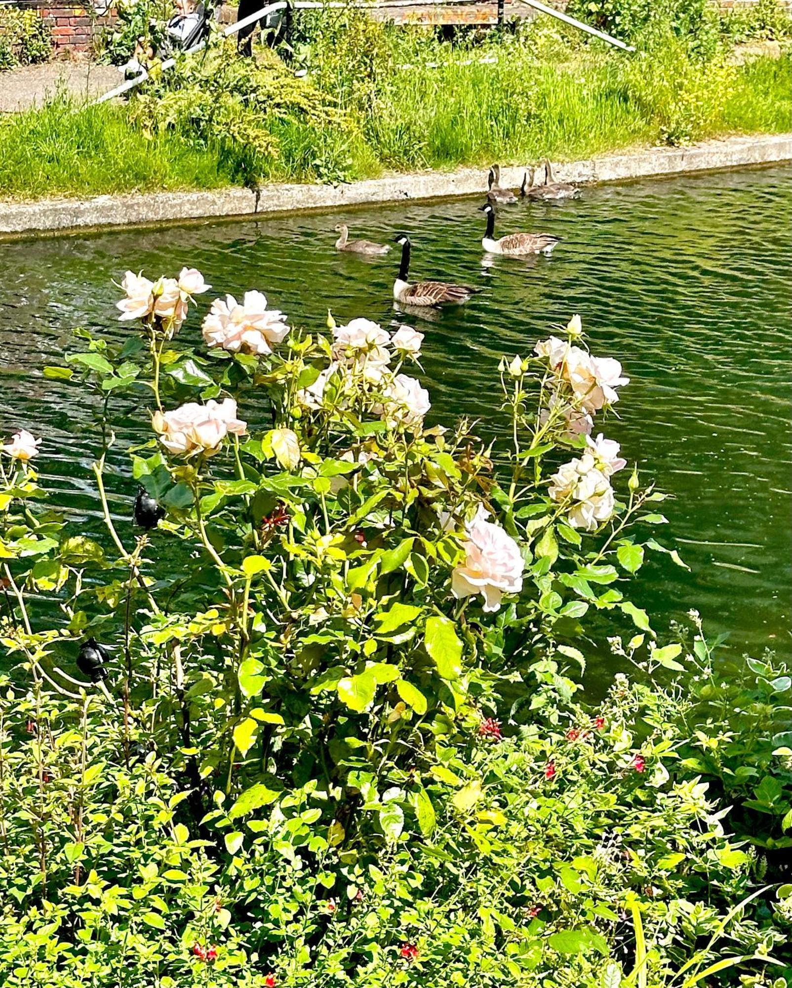 Amazing Location - City Of London- 2 Bedroom Stunning Canal View House With Private Garden,Parking & Balcony ภายนอก รูปภาพ